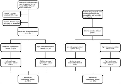 Automatic renal mass segmentation and classification on CT images based on 3D U-Net and ResNet algorithms